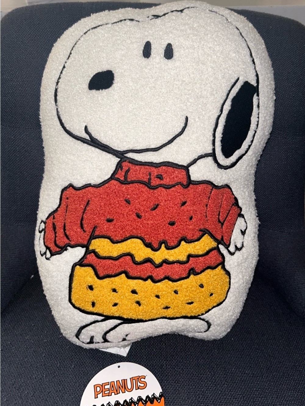 Peanuts Snoopy Sweater Weather Decorative Pillow